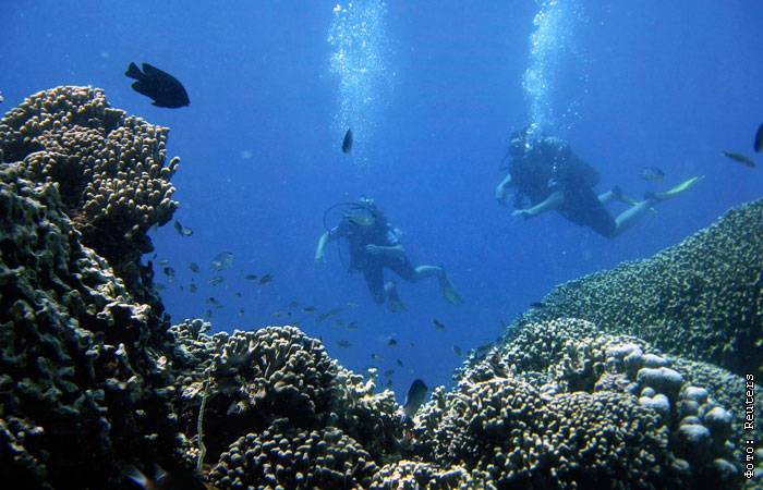 Военные гидрографы из РФ открыли коралловые острова в Красном море