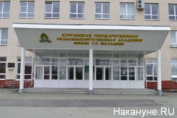 Кассира Курганской сельхозакадемии обвиняют в присвоении 2,5 млн рублей