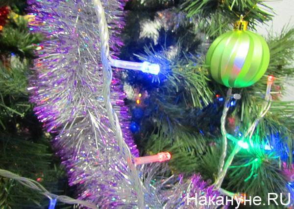 Самые дешевые живые елки к Новому году продаются в Екатеринбурге, Тольятти и Омске