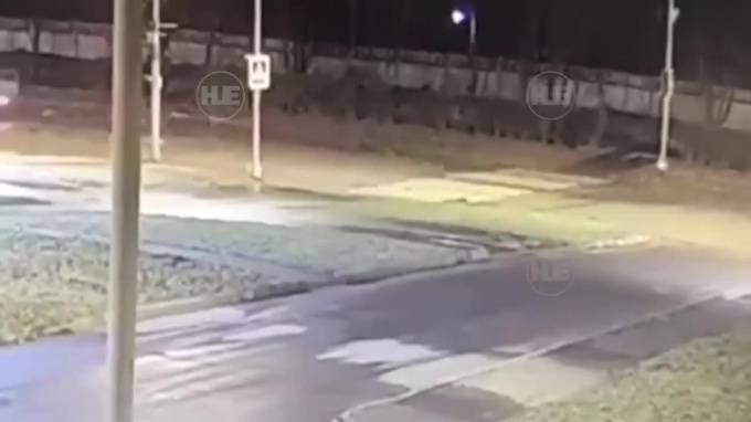 Видео: В Новой Москве насмерть сбили еще одного человека на "зебре"