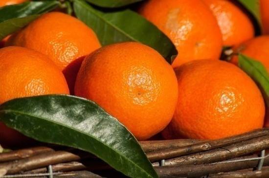 В Минсельхозе ожидают увеличения поставок мандаринов в Россию накануне Нового года