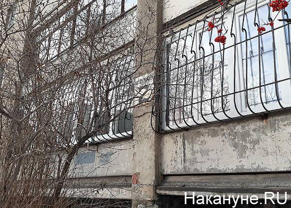 Зоо-вандализм: операция по спасению застрявшего кота в Екатеринбурге закончилась порчей имущества УК