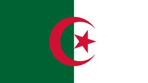 Президентом Алжира выбрали экс-премьера страны - Cursorinfo: главные новости Израиля