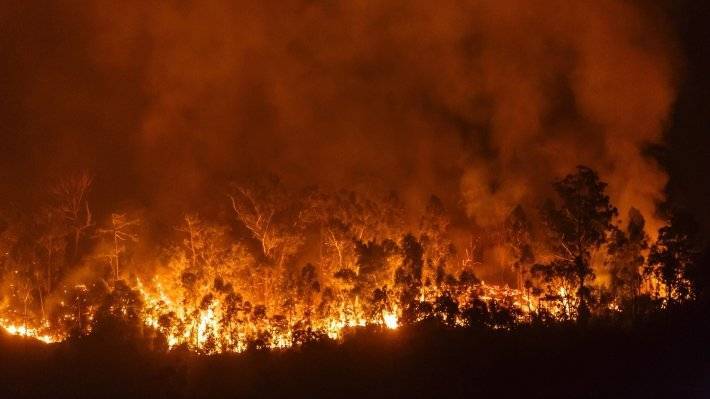 В МЧС назвали основные причины лесных пожаров в 2019 году