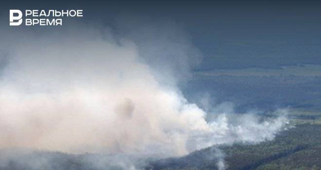 В МЧС назвали основные причины лесных пожаров в этом году
