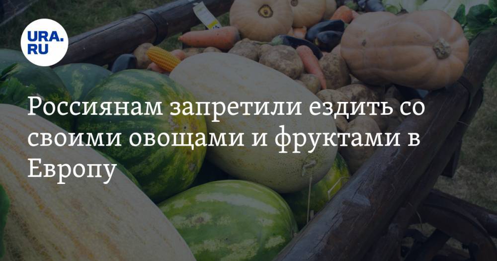 Россиянам запретили ездить со своими овощами и фруктами в Европу