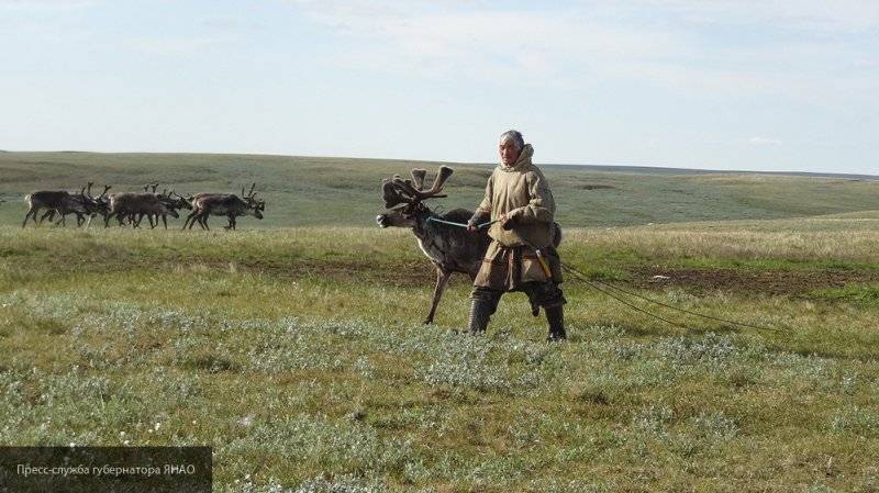 Школа гостеприимства для коренных народов севера появится на Ямале в 2020 году