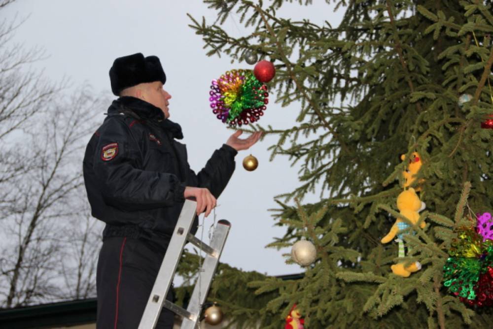 Новгородские стражи порядка нарядили елку вместе с учениками подшефной школы-интерната