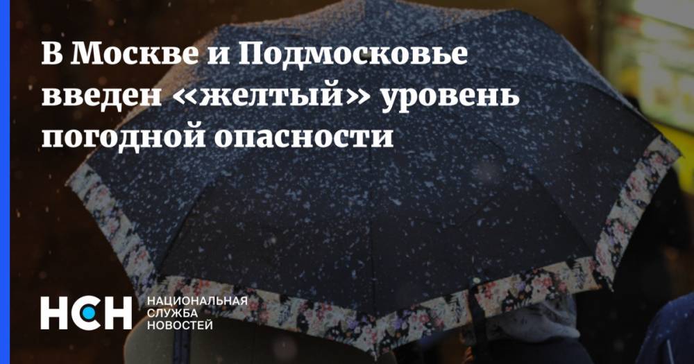 В Москве и Подмосковье введен «желтый» уровень погодной опасности