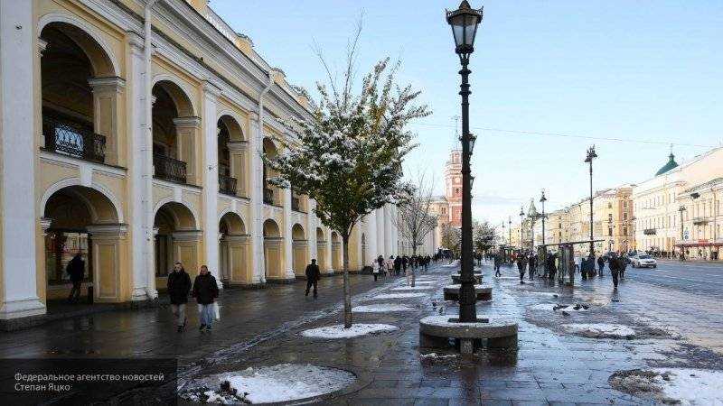 Снегоуборочная техника чистит улицы во всех районах Петербурга