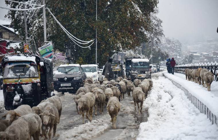 МИД предупредил россиян о проблемах с дорогами в Индии из-за снегопадов