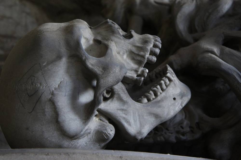 В Кольском районе обнаружили череп погибшего семь лет назад человека