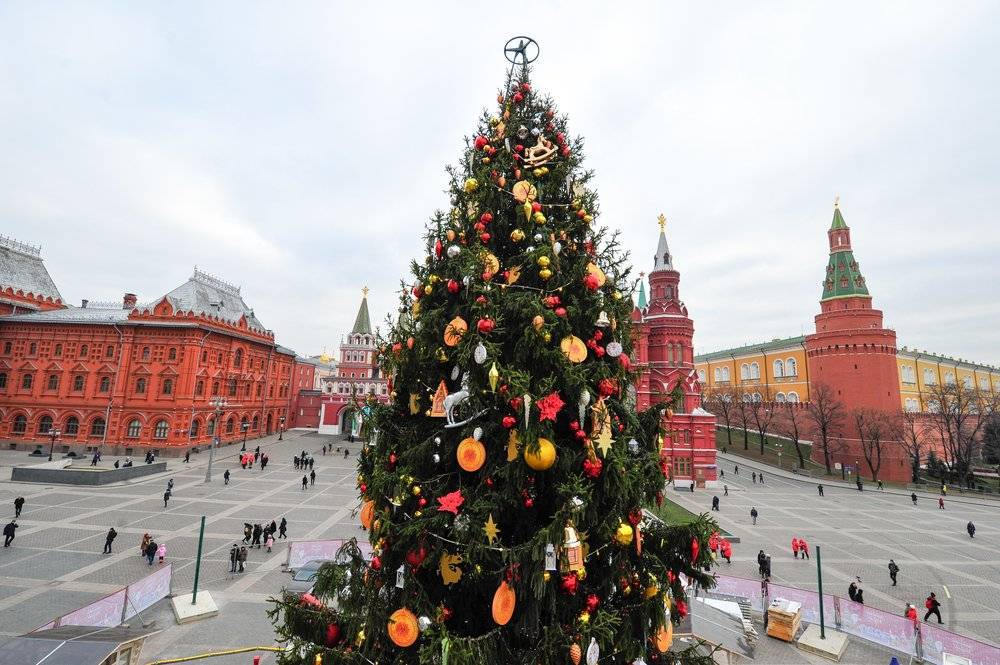 Главную новогоднюю елку России доставят в Кремль 15 декабря