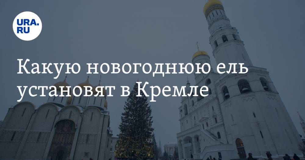 Какую новогоднюю ель установят в Кремле