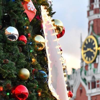 Главную новогоднюю елку России доставили в Кремль