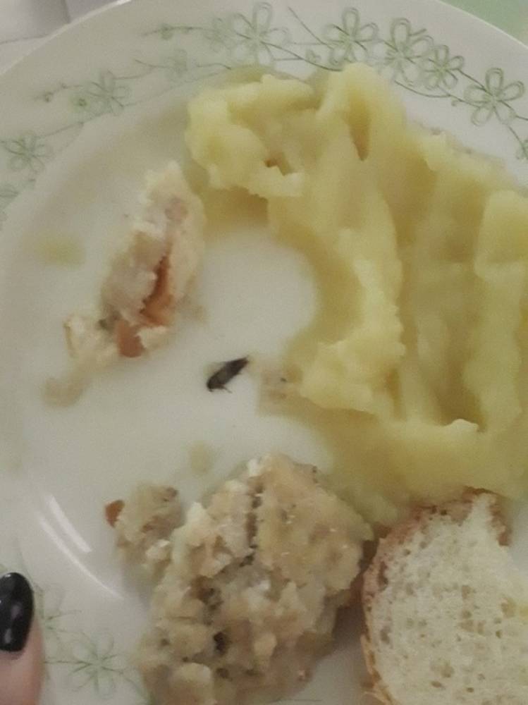Псковичка нашла таракана в больничной еде