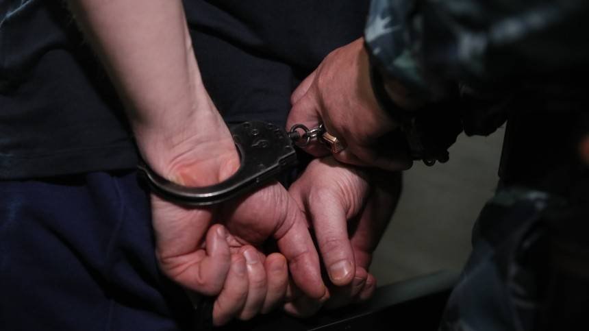 Надругавшийся над девочкой-подростком под Петербургом педофил задержан