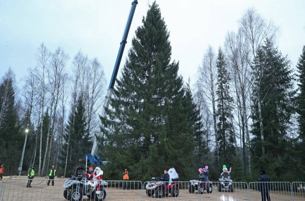 Главная новогодняя ёлка страны отправилась из Подмосковья в Кремль