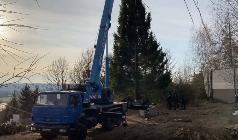 Максим Галкин похвастался 15-метровой елкой на своем участке