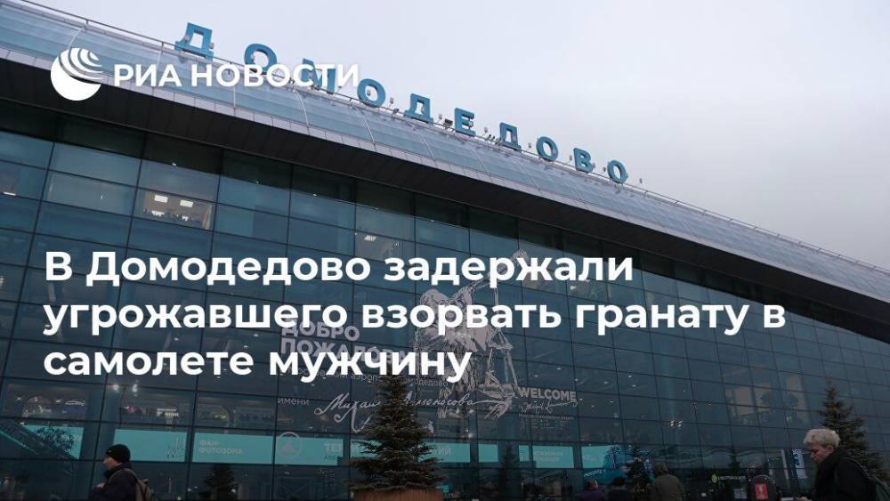 В Домодедово задержали угрожавшего взорвать гранату в самолете мужчину