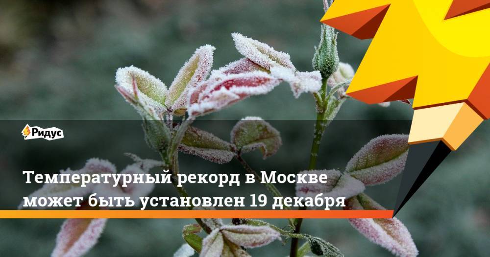 Температурный рекорд в Москве может быть установлен 19 декабря