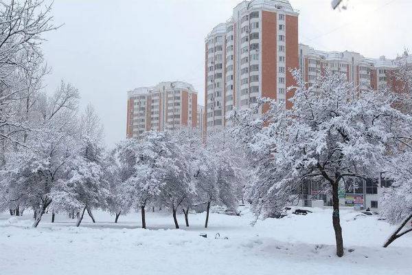 В Москве объявлен «желтый» уровень опасности из-за снегопада