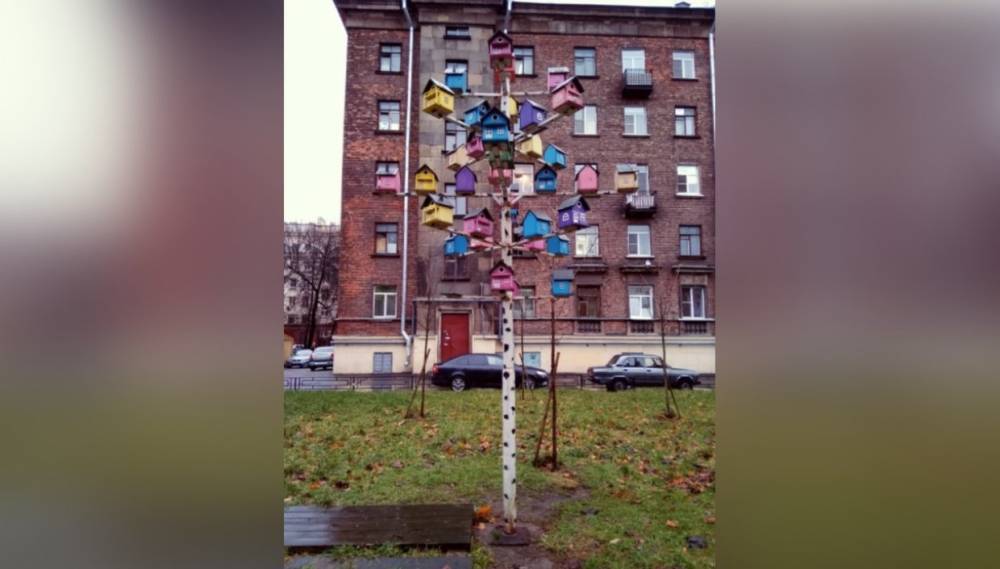 В Московском районе появилось «дерево» с 30 скворечниками