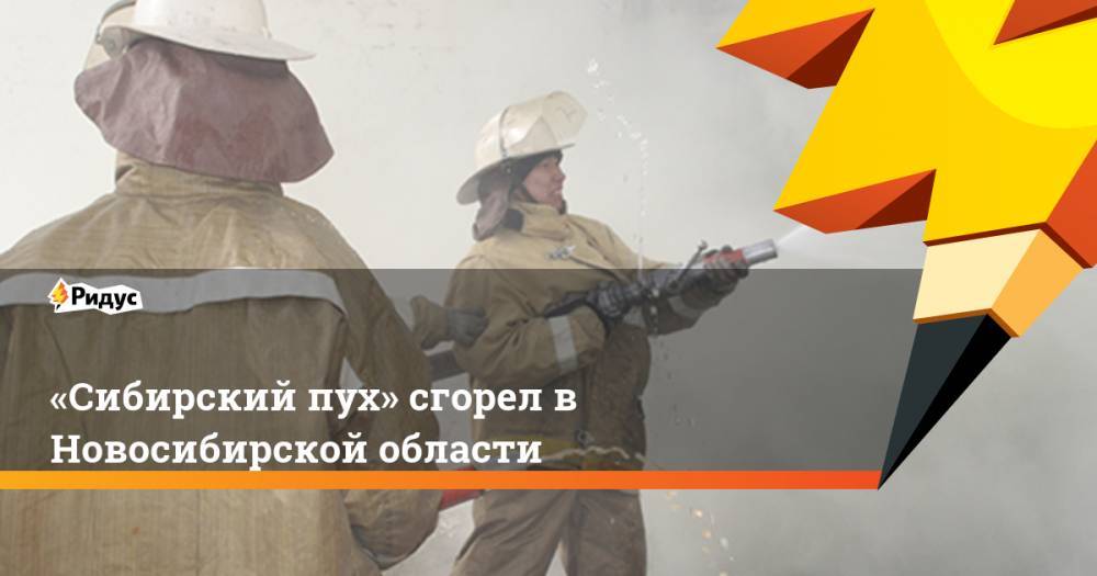 «Сибирский пух» сгорел в Новосибирской области
