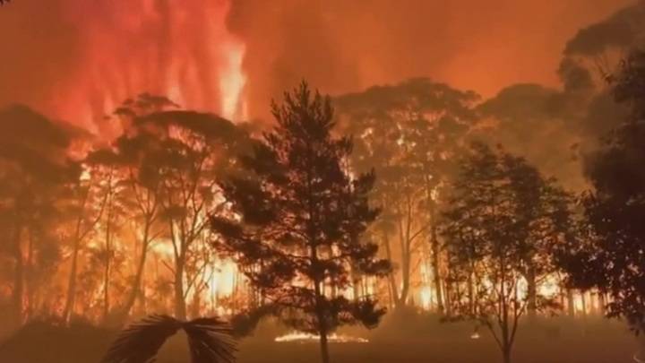 Природные пожары в Австралии: огнем охвачено почти 400 тысяч гектаров леса