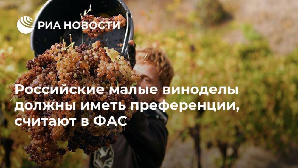 Российские малые виноделы должны иметь преференции, считают в ФАС