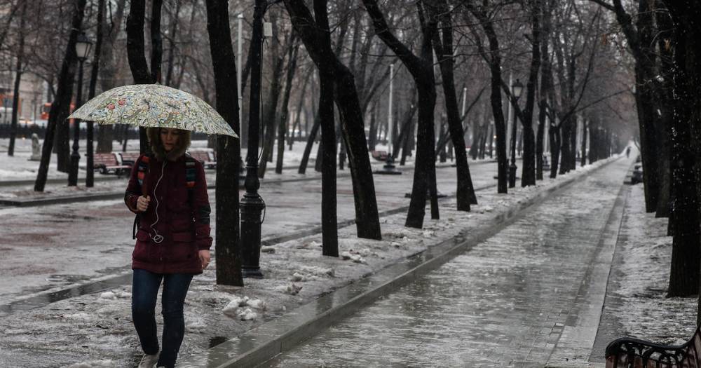 Москвичей попросили не ждать снег в декабре