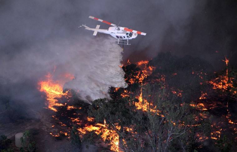 Пожары в Австралии привели к проблемам со здоровьем у граждан