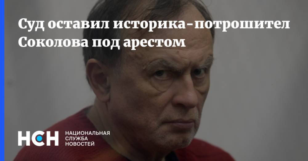 Суд оставил историка-потрошителя Соколова под арестом