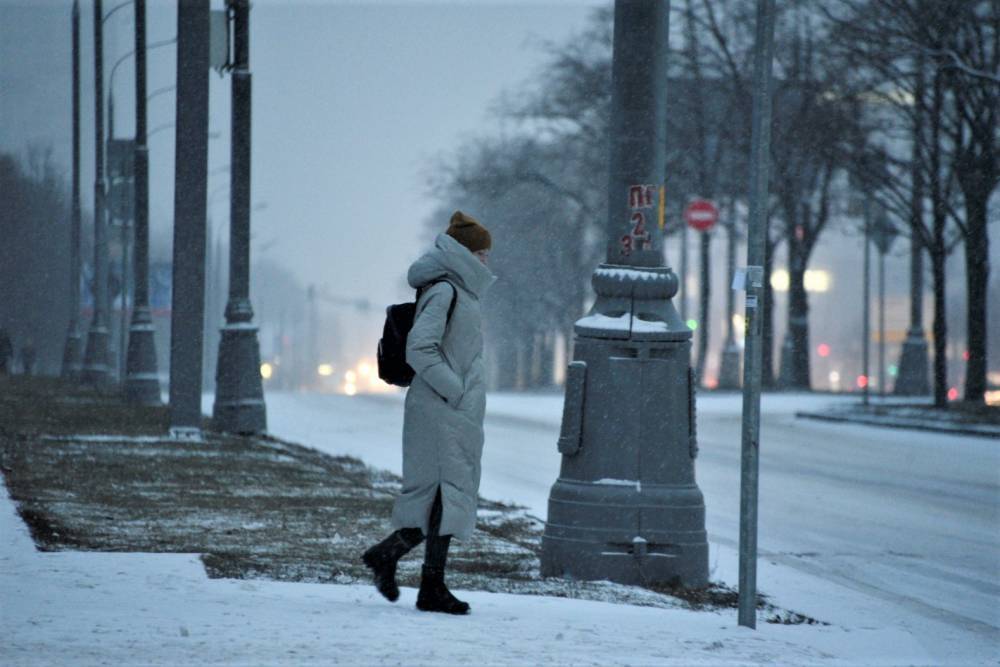 Синоптики рассказали, когда в Санкт-Петербург придет морозная зима