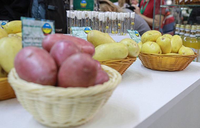 Эстония ввела запрет на ввоз картофеля и яблок из России