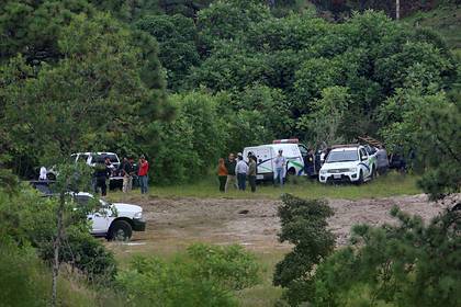 Тайные захоронения полсотни трупов нашли в Мексике