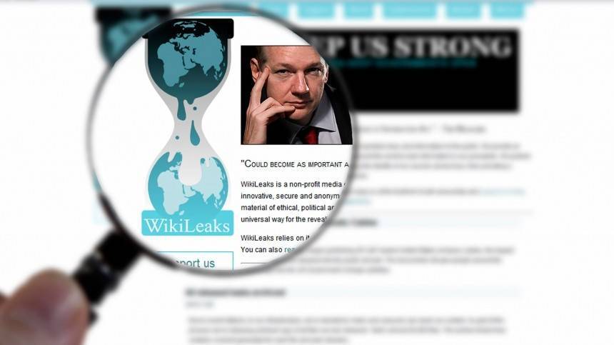 WikiLeaks уличила ОЗХО в подмене фактов о «химатаке» в Сирии