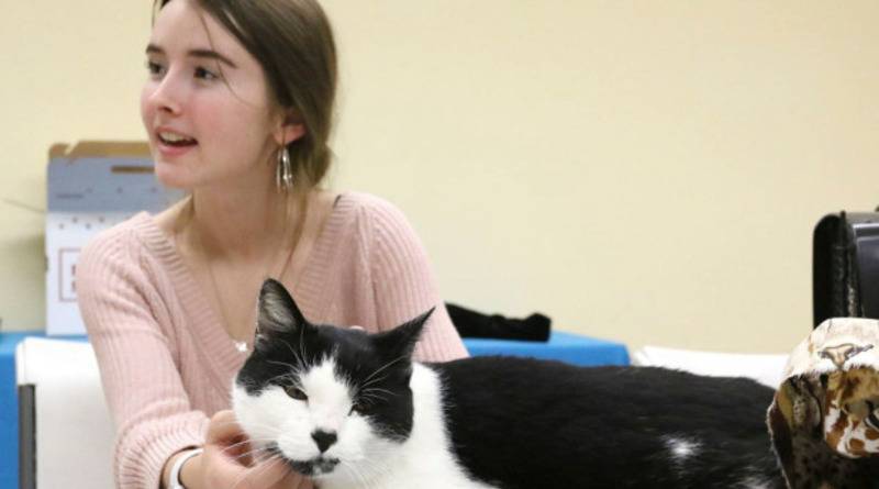 Счастливое воссоединение: девочка-волонтер увидела в приюте для животных своего кота, который пропал 3 года назад