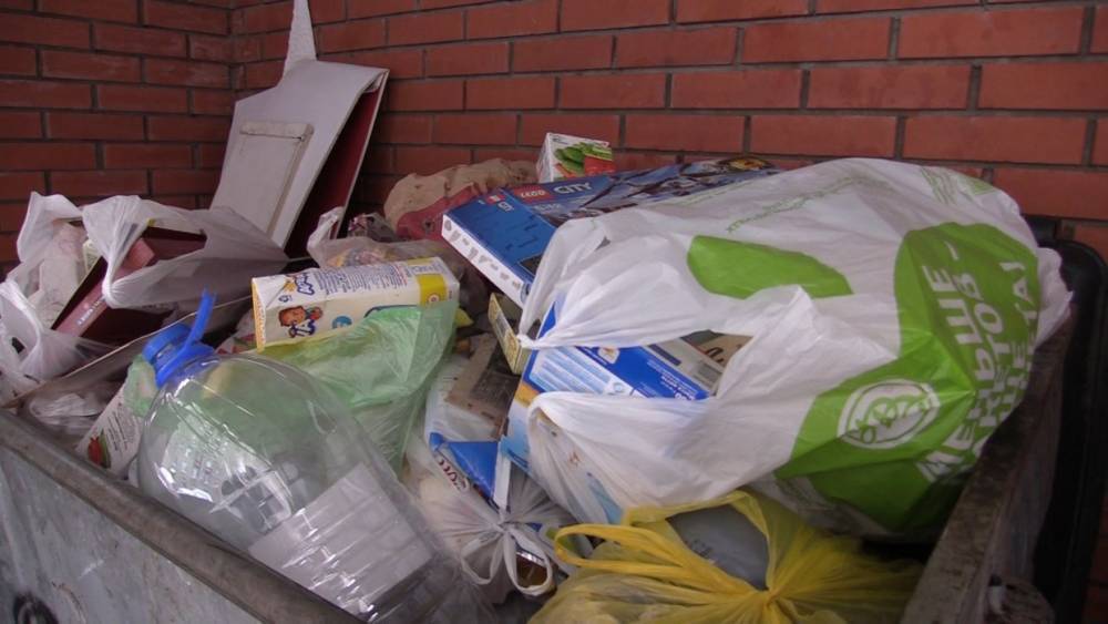 В Североморске нашли новую компанию для вывоза мусора