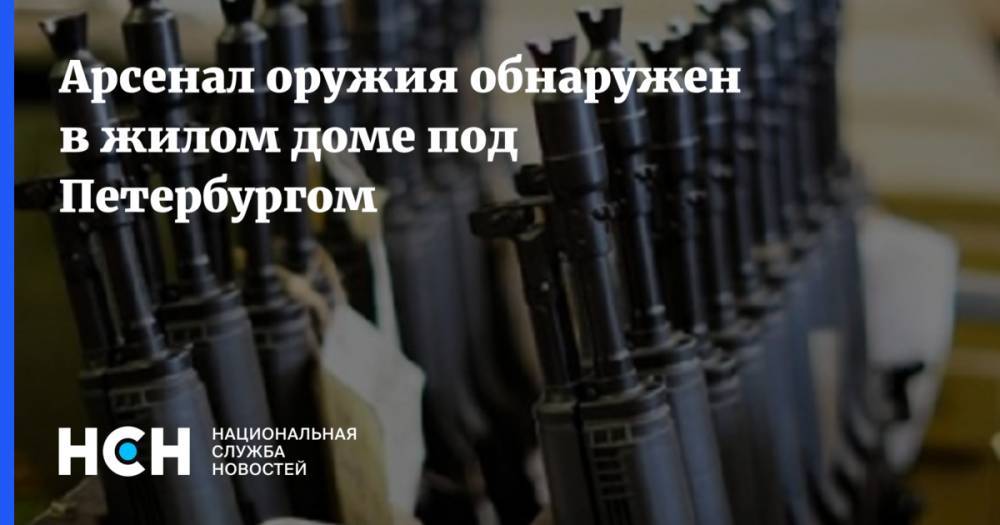 Арсенал оружия обнаружен в жилом доме под Петербургом
