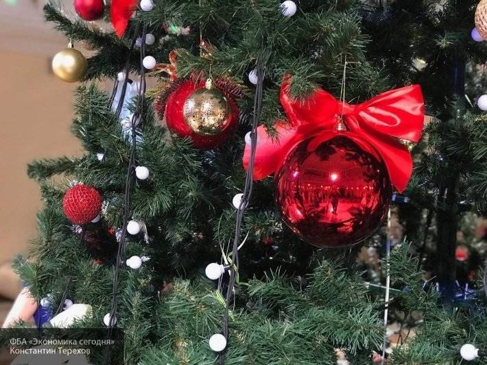 Аллергологи рассказали, чем может быть опасна новогодняя елка в доме