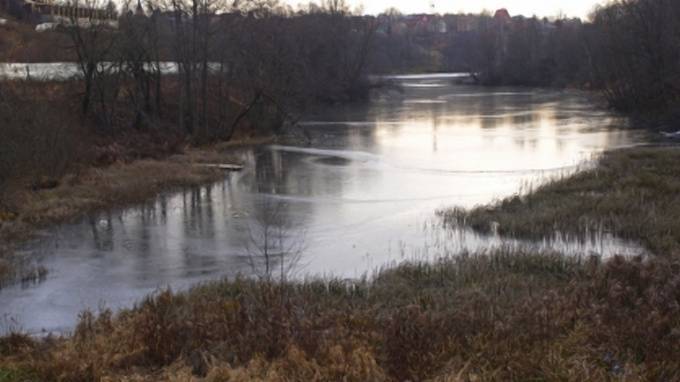 В реке Подмосковья нашли труп мужчины без головы и кистей