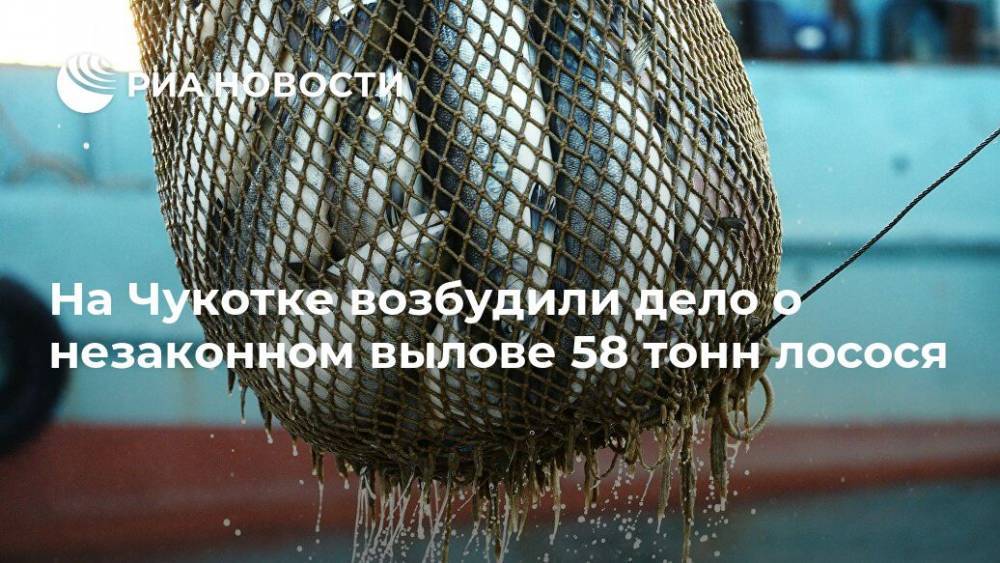 На Чукотке возбудили дело о незаконном вылове 58 тонн лосося