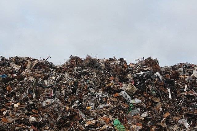 Мусорщики перерыли 30 тонн отходов ради потерянных обручальных колец