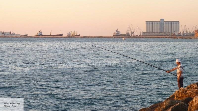 Россия выделит 500 млн долларов на модернизацию сирийского порта Тартус
