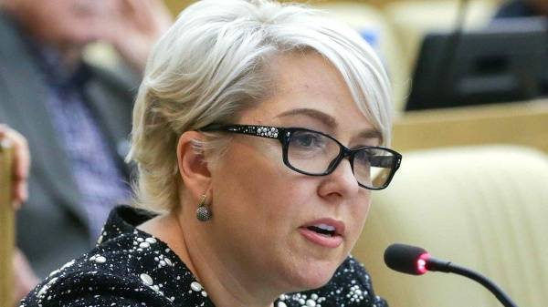 Депутат Госдумы назвала видеоролик Nakanune.RU политической провокацией