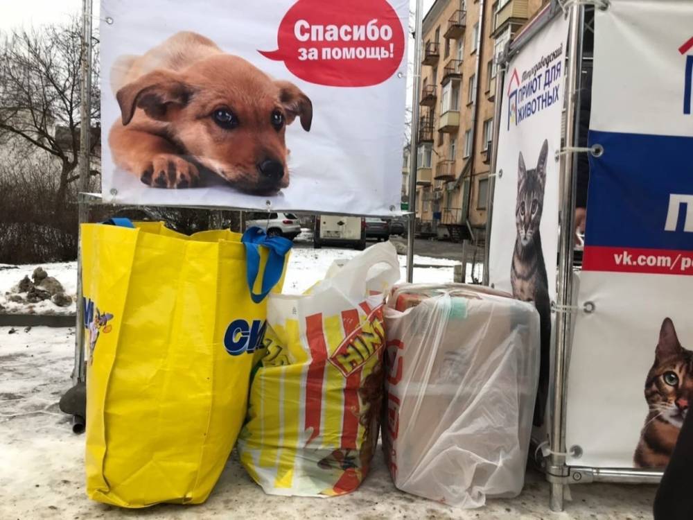 Более десяти тысяч рублей собрали петрозаводчане в помощь приюту животных