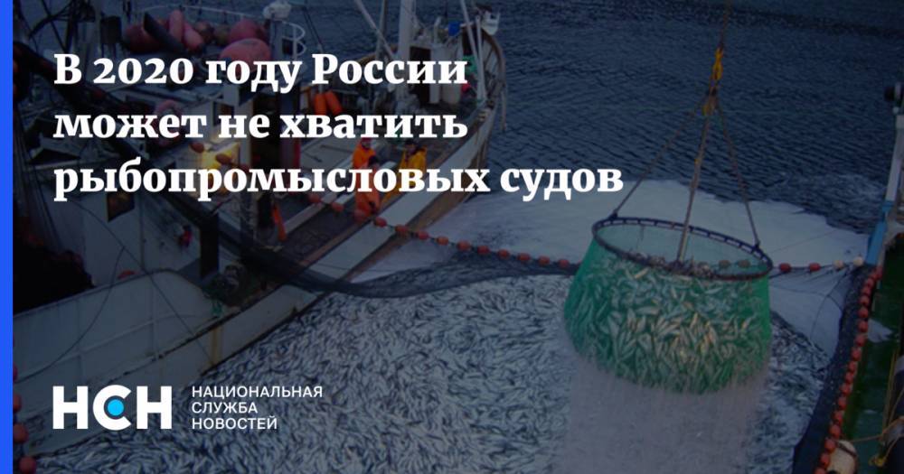 В 2020 году России может не хватить рыбопромысловых судов