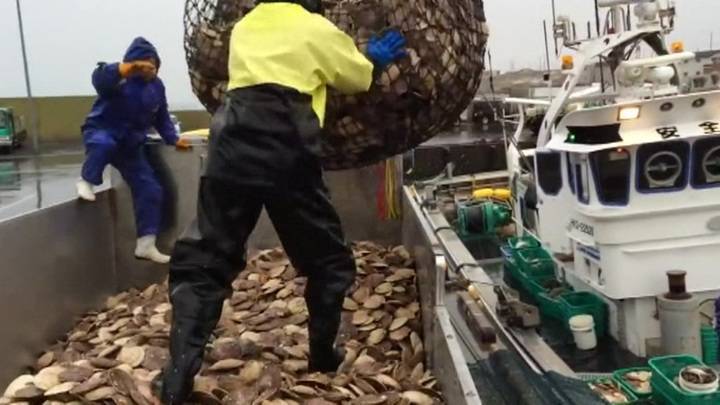 Японские рыболовецкие суда задержаны пограничниками в районе Курил