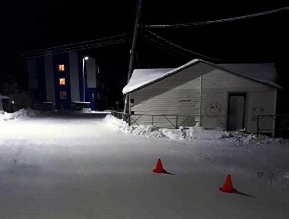 В поселке на Ямале сани сбили двух пешеходов, один госпитализирован
